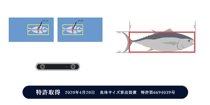 水質データ画像