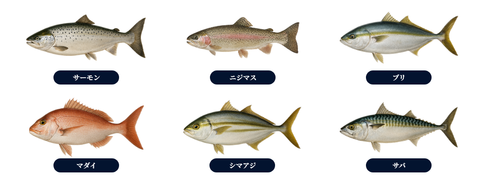 水質データ画像