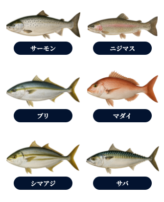 水質データ画像