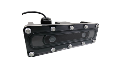 スタンダード版