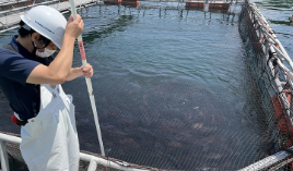 水質データ画像