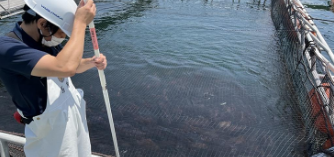 水質データ画像