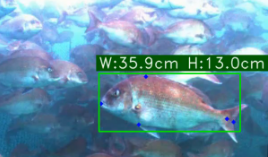 水質データ画像