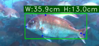 水質データ画像