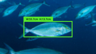 鹿児島スマホ版画像